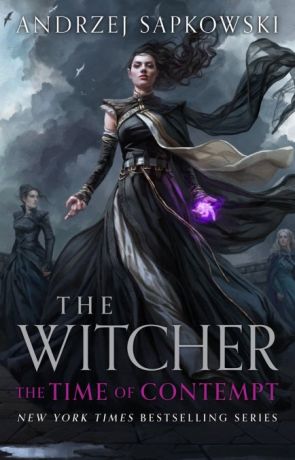 Witcher 2: Time of Contempt - Collector's Edition (editie cartonata)