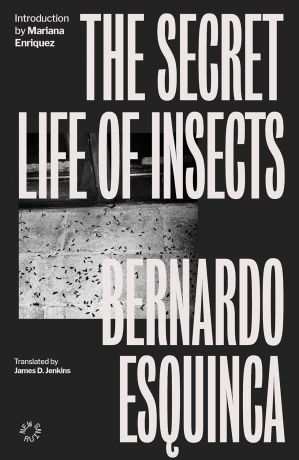Secret Life of Insects