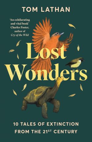 lost-wonders-tom-lathan
