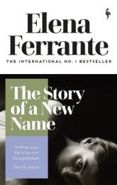 Neapolitan Novels 2: Story of a New Name