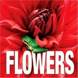 Flowers Minicube
