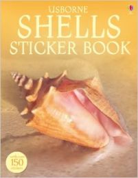Shells: Sticker Book