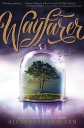 Passenger 2: Wayfarer