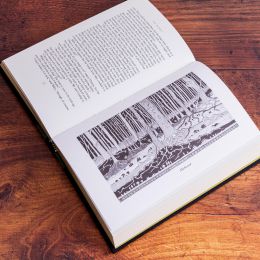 Hobbit: Illustrated by the Author - deluxe edition