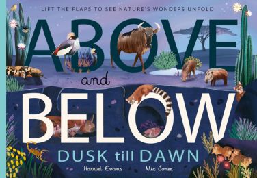 Above and Below: Dusk till Dawn: Lift the flaps to see nature's wonders unfold