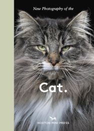 New Photography of the Cat: The best new photography of cats